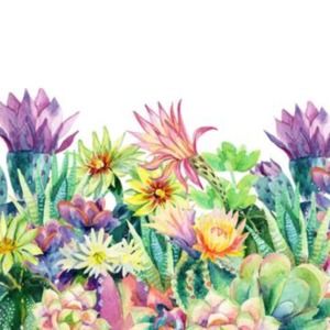 Meet your Posher, Chesley